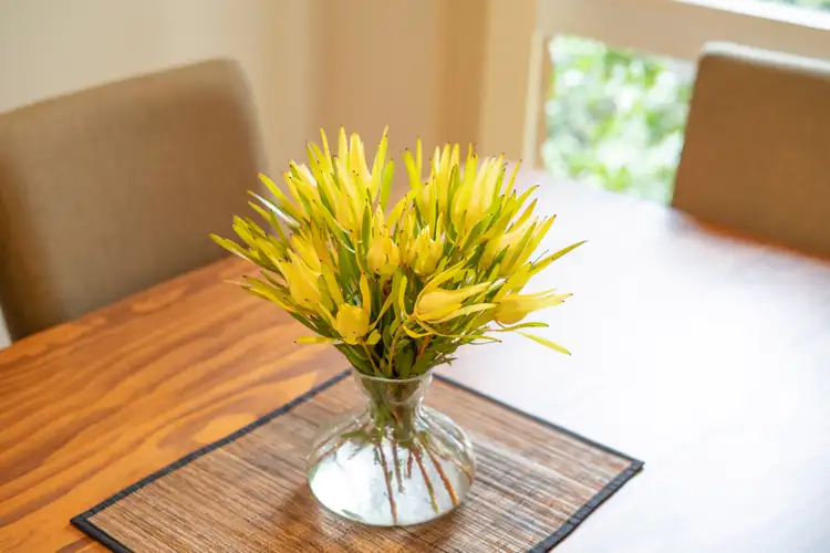 Sixth view of Homely house listing, 24 Hayward Street, Macgregor ACT 2615