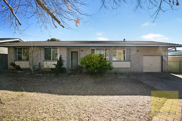 19 Dorothy Avenue, Armidale NSW 2350