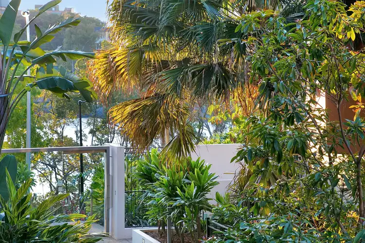 Fifth view of Homely unit listing, 239/10 Pidgeon Close, West End QLD 4101