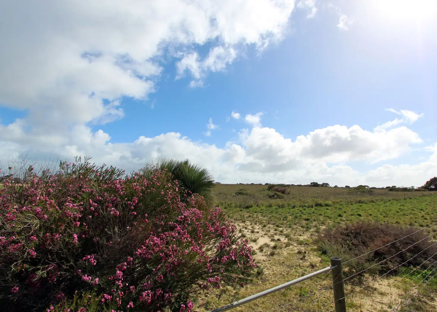 Main view of Homely land listing, Lot 237 Zendora Road, Jurien Bay WA 6516
