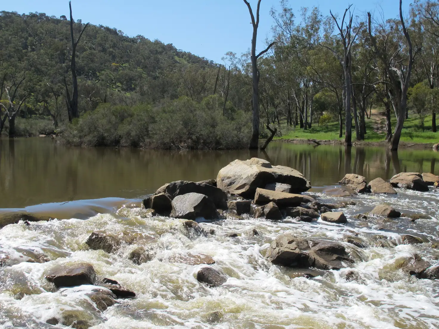 Main view of Homely rural property listing, Springbank Farm, Julimar Road, Toodyay WA 6566