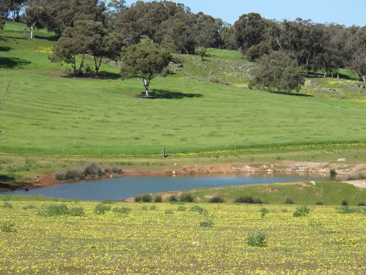 Third view of Homely rural property listing, Springbank Farm, Julimar Road, Toodyay WA 6566