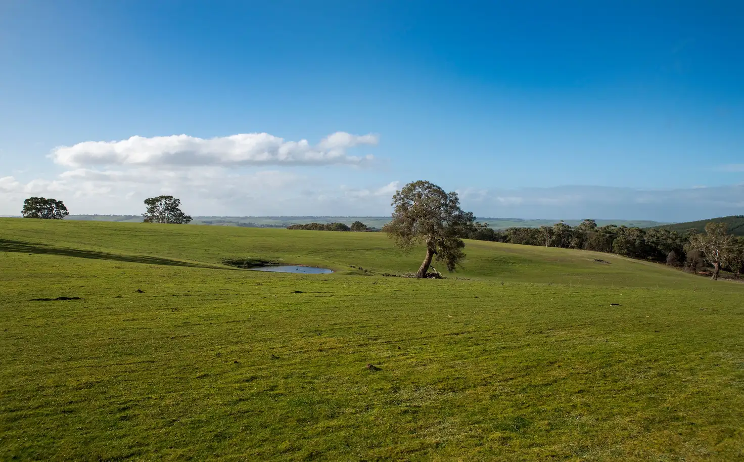 Main view of Homely rural property listing, 39 Kellys Road, Casterton VIC 3311