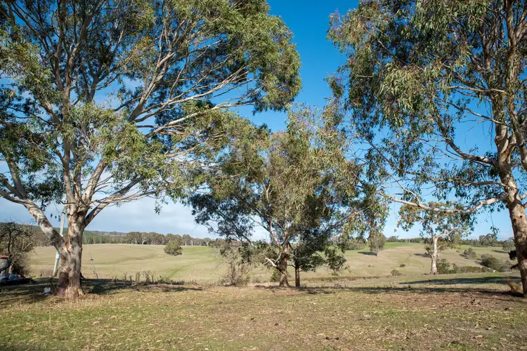 Second view of Homely rural property listing, 39 Kellys Road, Casterton VIC 3311