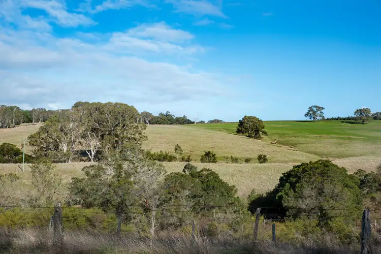 Fifth view of Homely rural property listing, 39 Kellys Road, Casterton VIC 3311