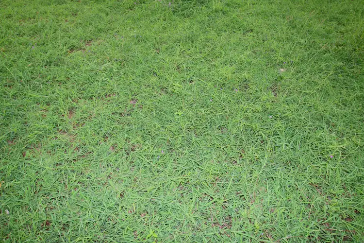 Third view of Homely rural property listing, Lot 87 Capricorn Highway, Duaringa QLD 4712