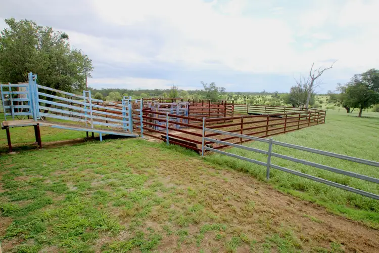 Seventh view of Homely rural property listing, 1886 Duaringa-Biloela Road, Duaringa QLD 4712