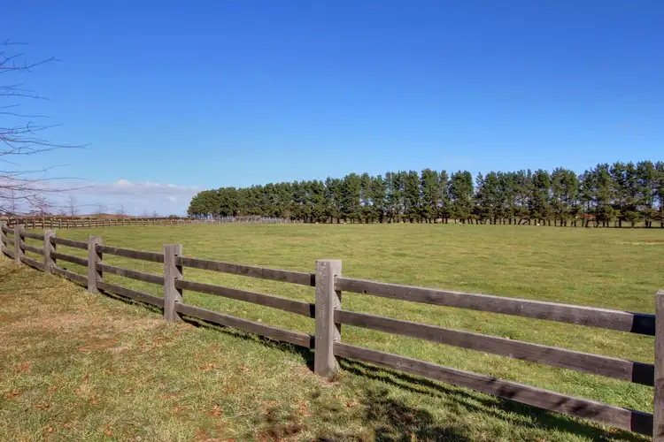 Seventh view of Homely rural property listing, 103 Third Creek Road, Crookwell NSW 2583