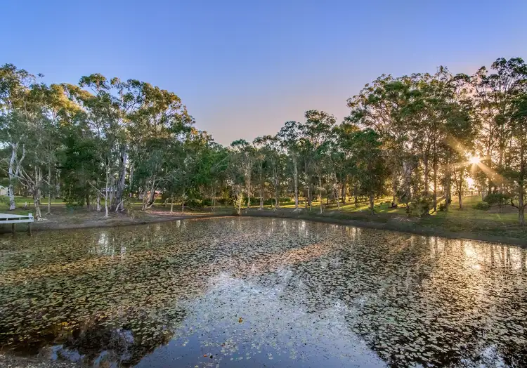 Third view of Homely house listing, 74 Solway Crescent, Carbrook QLD 4130