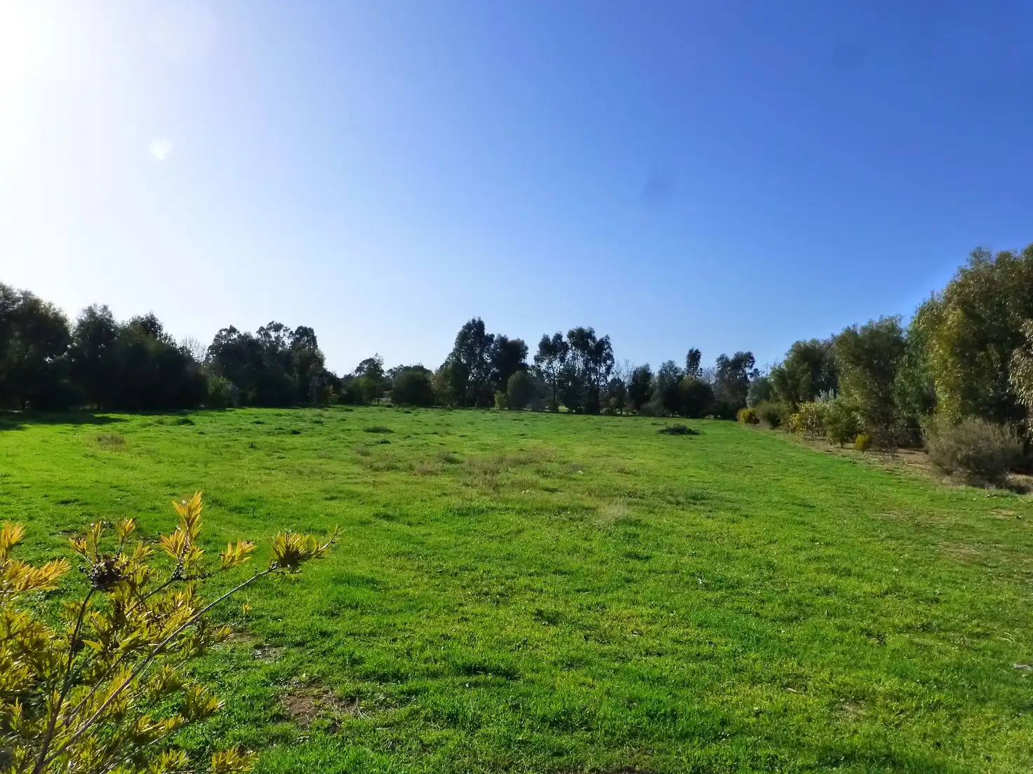 Main view of Homely land listing, 21 Pinerate Place, Echuca VIC 3564