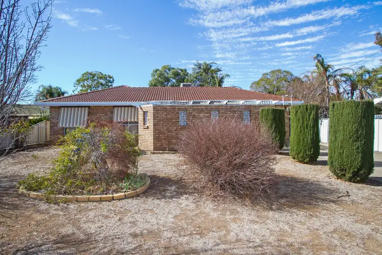 Main view of Homely house listing, 8 Frank Street, Tamworth NSW 2340