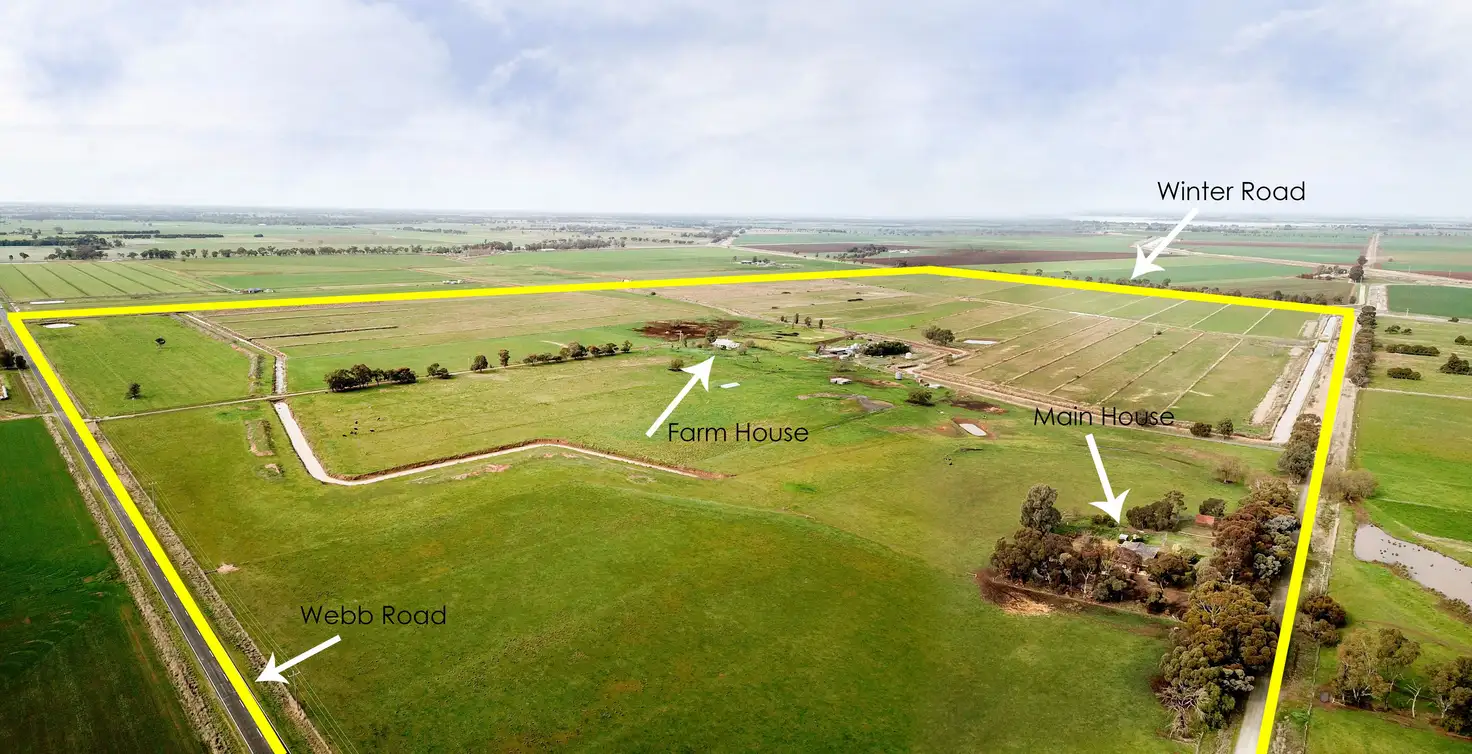 Main view of Homely rural property listing, 1945 Webb Road, Nanneella VIC 3561