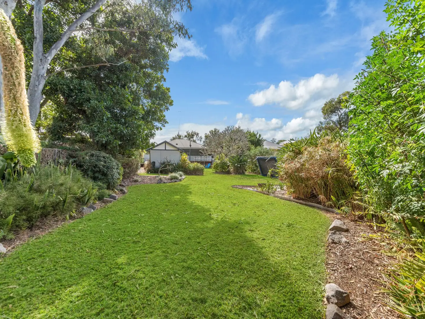 Main view of Homely house listing, 135 Chatsworth Road, Coorparoo QLD 4151
