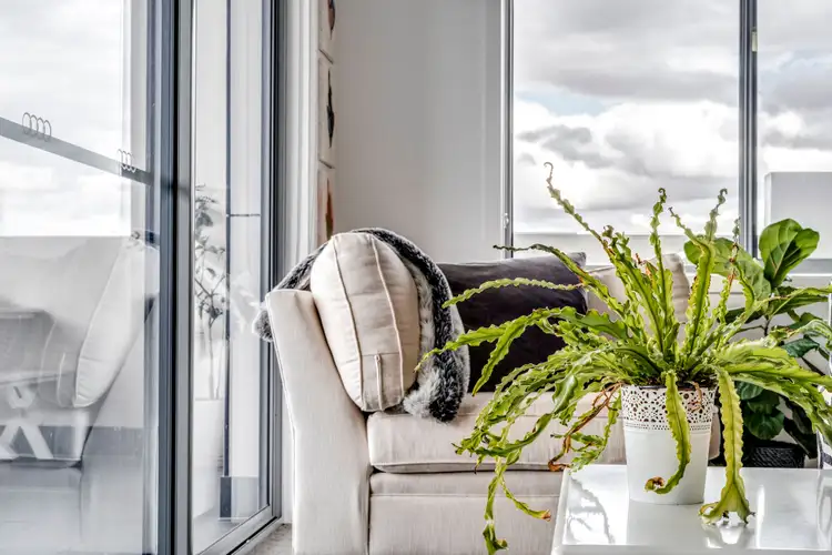 Sixth view of Homely apartment listing, 60/40 Philip Hodgins Street, Wright ACT 2611