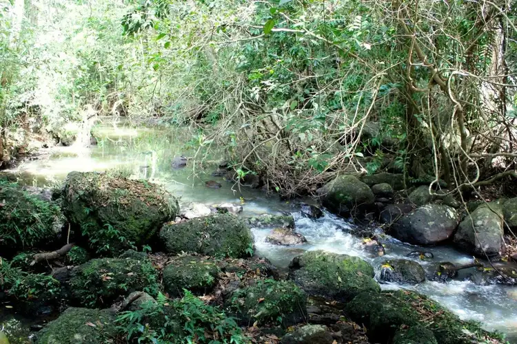 Third view of Homely rural property listing, Address available on request