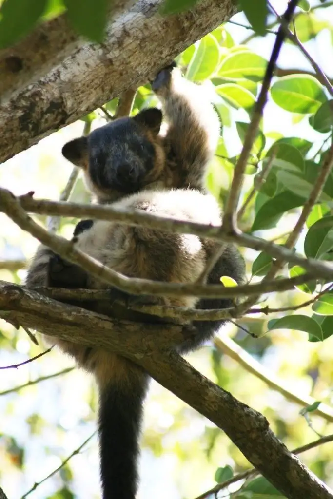 Fifth view of Homely rural property listing, Address available on request