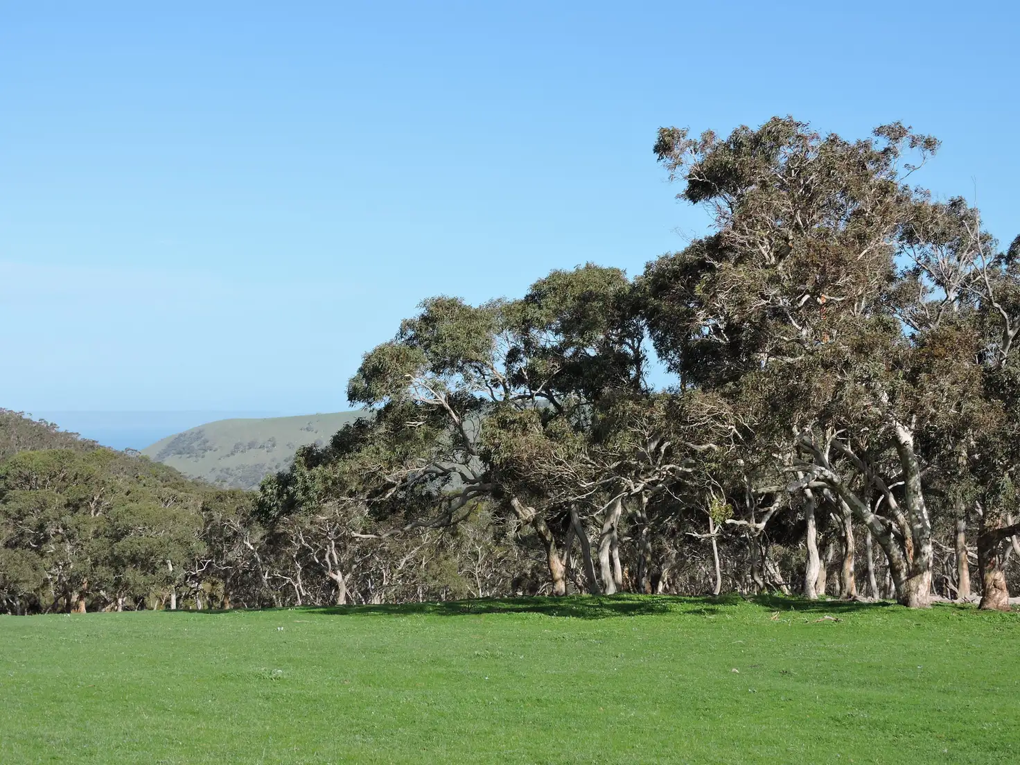 Main view of Homely rural property listing, Address available on request