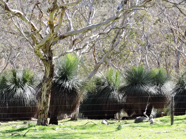 Fourth view of Homely rural property listing, Address available on request