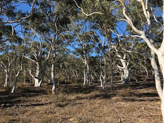 Main view of Homely rural property listing, 14 Stewarts Crossing, Braidwood NSW 2622