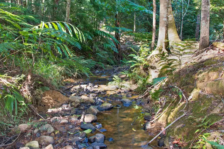 Second view of Homely rural property listing, 13 Pigeonberry Road, Nobbys Creek NSW 2484