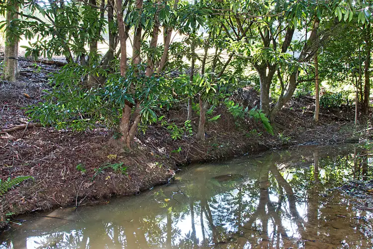Third view of Homely rural property listing, 13 Pigeonberry Road, Nobbys Creek NSW 2484