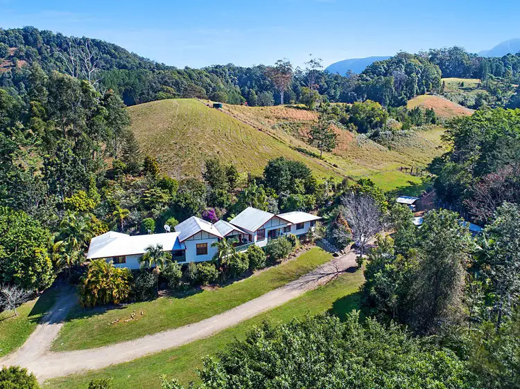 Fourth view of Homely rural property listing, 13 Pigeonberry Road, Nobbys Creek NSW 2484