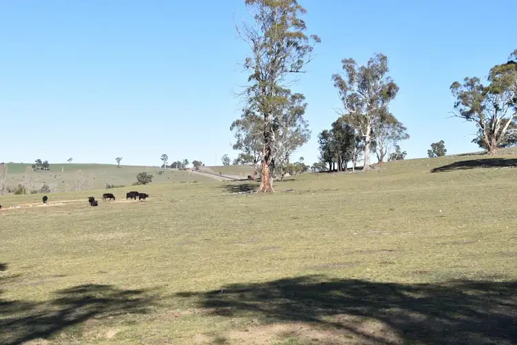 Fourth view of Homely rural property listing, 6466 Abercrombie Road, Oberon NSW 2787