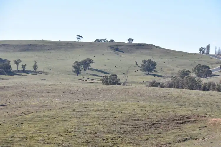 Sixth view of Homely rural property listing, 6466 Abercrombie Road, Oberon NSW 2787