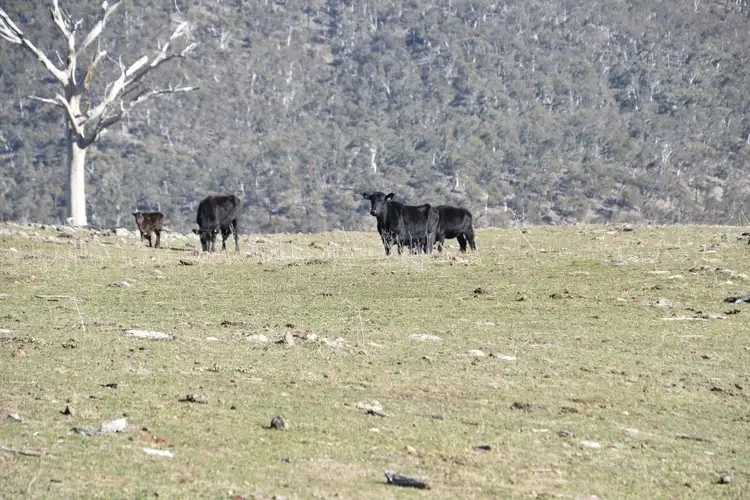 Seventh view of Homely rural property listing, 6466 Abercrombie Road, Oberon NSW 2787