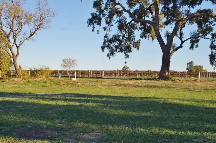 Sixth view of Homely land listing, 99 Twentythird Street, Renmark SA 5341