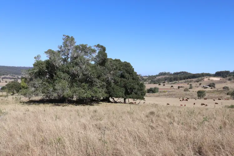 Sixth view of Homely land listing, Lot 243 Humphrey Binjour Road, Gayndah QLD 4625