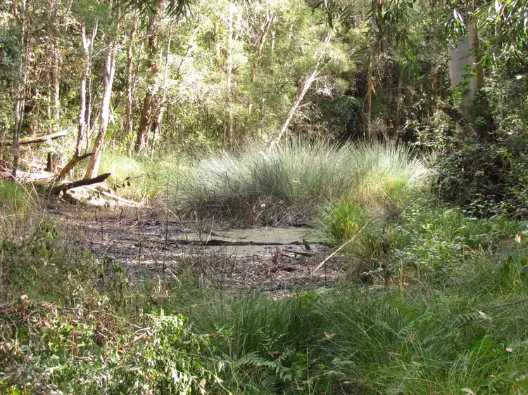 Fifth view of Homely land listing, 419 Tullymorgan-Jackybulbin Road, Tullymorgan NSW 2463