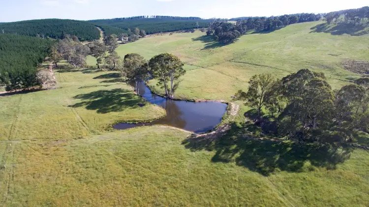 Third view of Homely rural property listing, Lot 21 265 Baileys Lane, Oberon NSW 2787