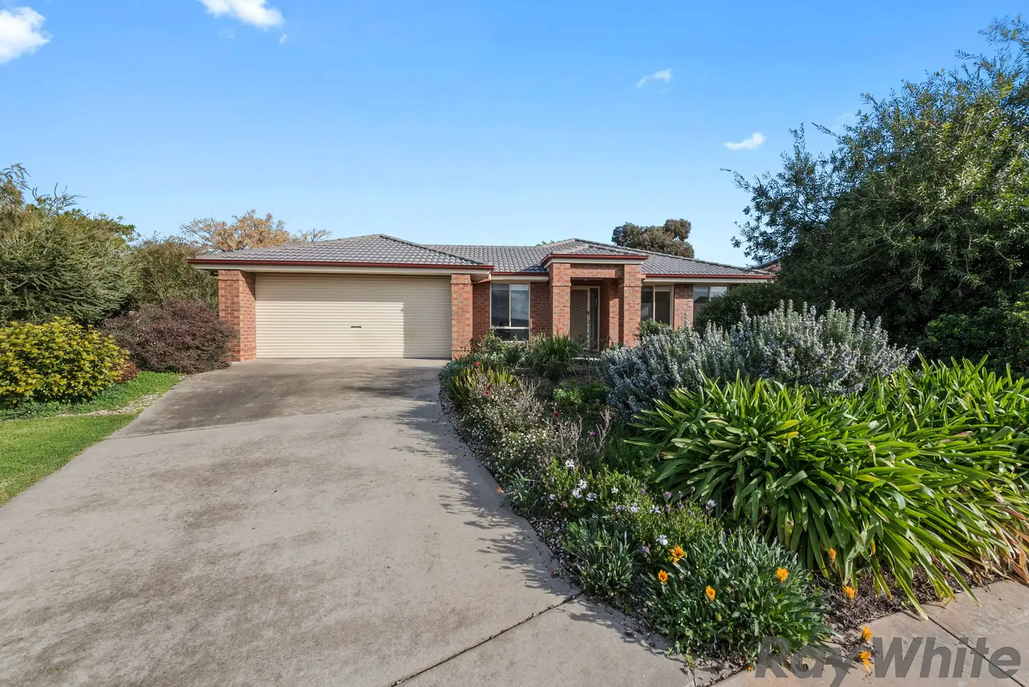 Main view of Homely house listing, 8 James Court, Rutherglen VIC 3685