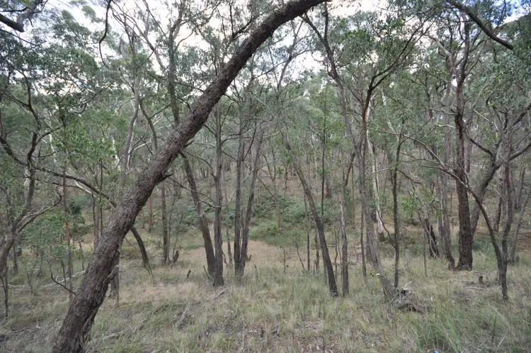 Fourth view of Homely land listing, CA 2B MacLeods Road, Durham Lead VIC 3352