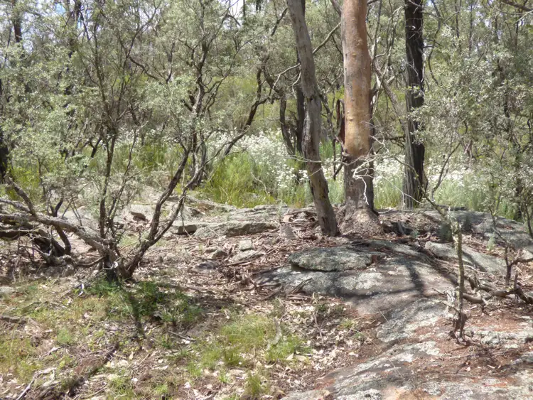 Fifth view of Homely house listing, 720 Old Bundarra Road, Inverell NSW 2360