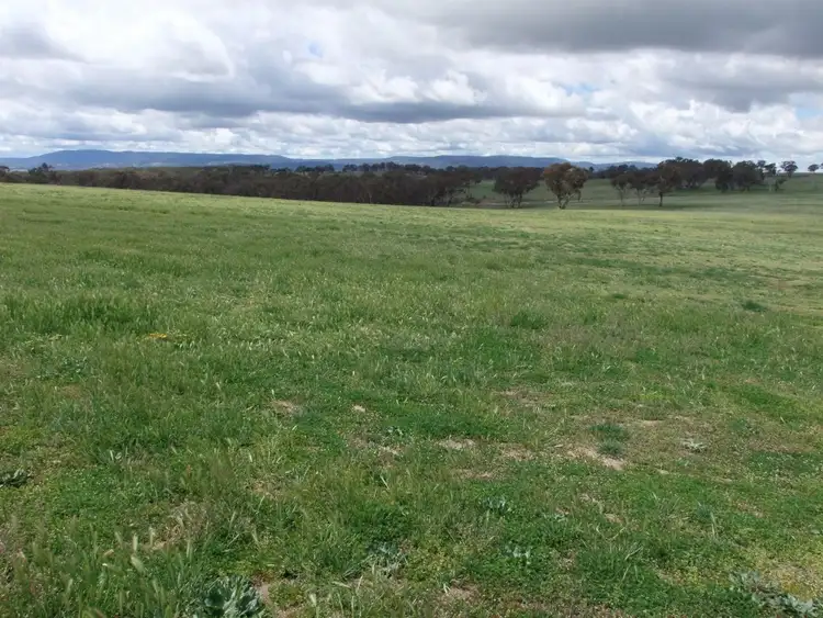 Third view of Homely rural property listing, 714 O'connell Plains Road, The Lagoon NSW 2795