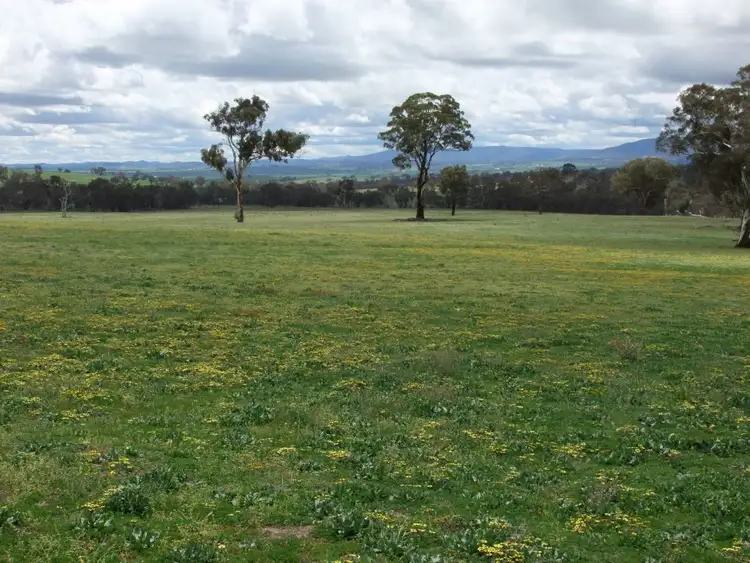 Seventh view of Homely rural property listing, 714 O'connell Plains Road, The Lagoon NSW 2795