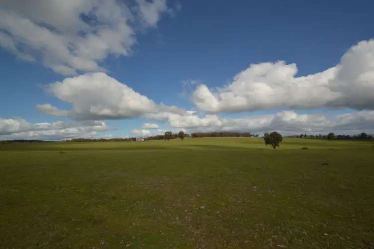 Third view of Homely land listing, 1245 Seymour-Tooborac Road, Hilldene VIC 3660