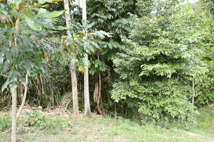 Fifth view of Homely land listing, 73 Cutten Street, Bingil Bay QLD 4852