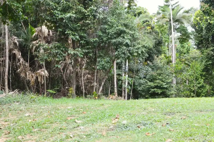 Seventh view of Homely land listing, 73 Cutten Street, Bingil Bay QLD 4852
