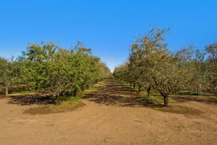 Second view of Homely land listing, Lot 261 Chivell Road, Angle Vale SA 5117