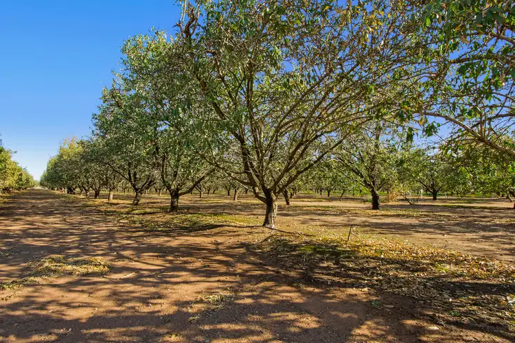 Third view of Homely land listing, Lot 261 Chivell Road, Angle Vale SA 5117