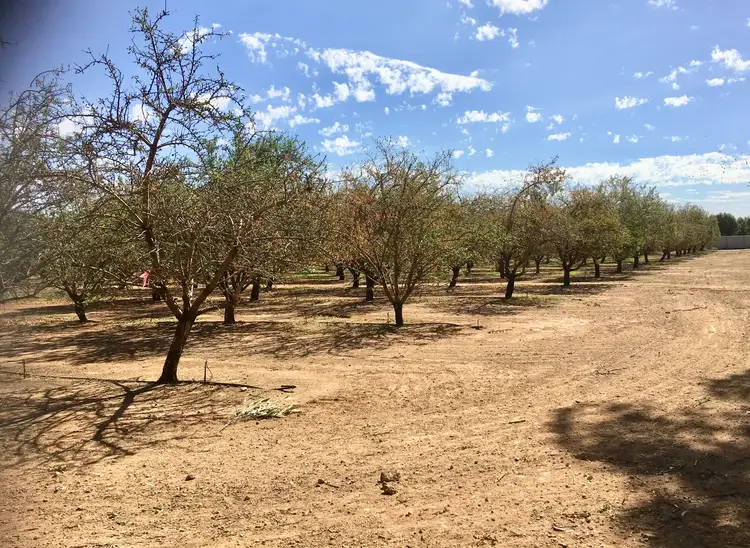 Fifth view of Homely land listing, Lot 261 Chivell Road, Angle Vale SA 5117
