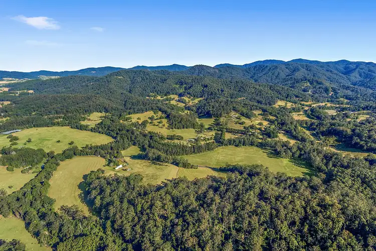 Sixth view of Homely rural property listing, 388-390 Dairyville Road, Upper Orara NSW 2450