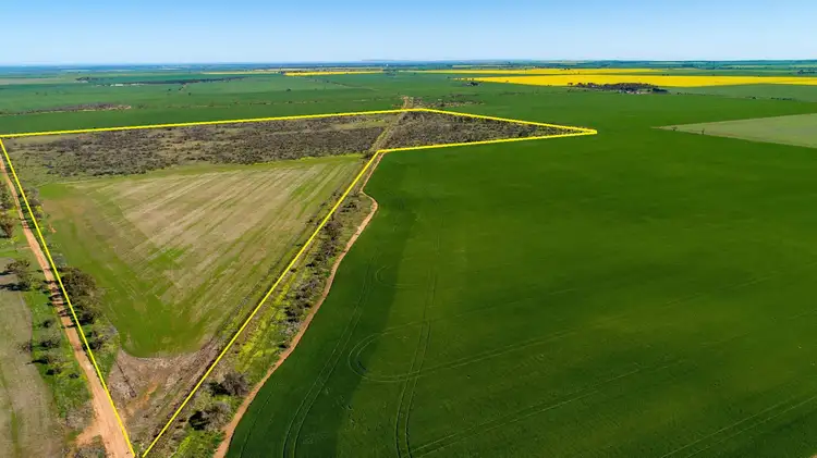 Second view of Homely land listing, Lot 503 McCabe Road, Hamley Bridge SA 5401