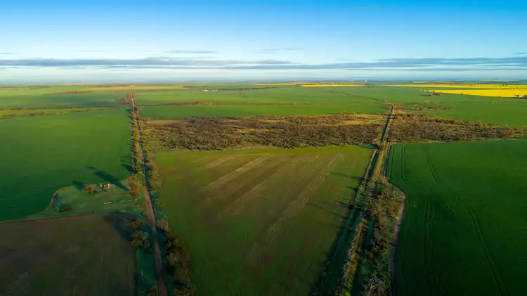 Third view of Homely land listing, Lot 503 McCabe Road, Hamley Bridge SA 5401