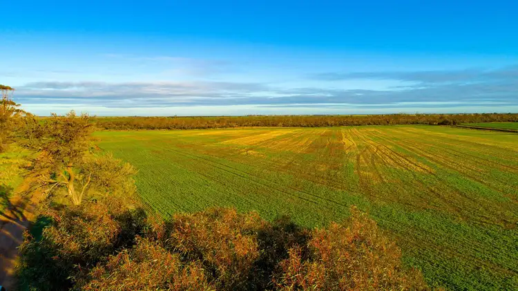 Fifth view of Homely land listing, Lot 503 McCabe Road, Hamley Bridge SA 5401