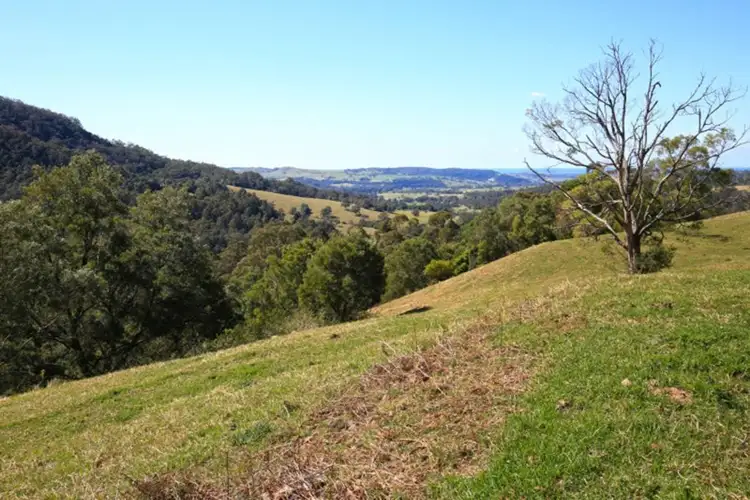 Main view of Homely rural property listing, 131 Daltons Road, Jamberoo NSW 2533