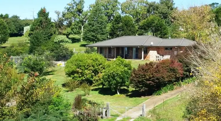 Main view of Homely house listing, 3 Walnut Close, Dorrigo NSW 2453